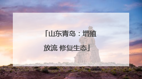 山东青岛：增殖放流 修复生态