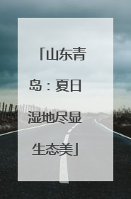 山东青岛：夏日湿地尽显生态美