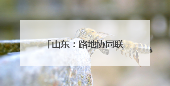 山东：路地协同联动 共筑平安铁路