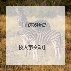 山东6所高校人事变动
