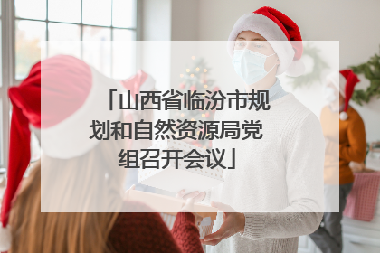 山西省临汾市规划和自然资源局党组召开会议
