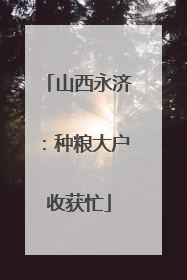山西永济：种粮大户收获忙