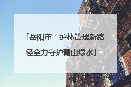 岳阳市：护林管理新路径全力守护青山绿水