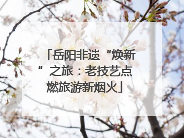 岳阳非遗“焕新”之旅：老技艺点燃旅游新烟火