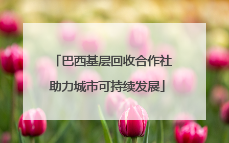 巴西基层回收合作社助力城市可持续发展