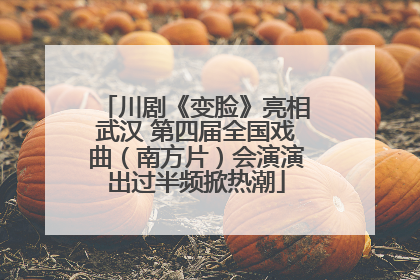川剧《变脸》亮相武汉 第四届全国戏曲（南方片）会演演出过半频掀热潮