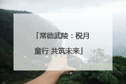 常德武陵：税月童行 共筑未来