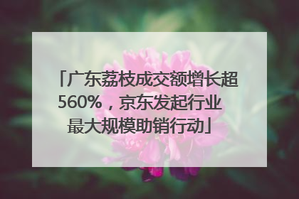 广东荔枝成交额增长超560%，京东发起行业最大规模助销行动