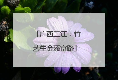 广西三江：竹艺生金添富路