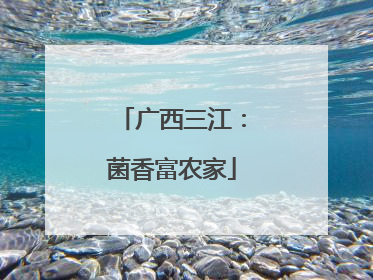 广西三江：菌香富农家