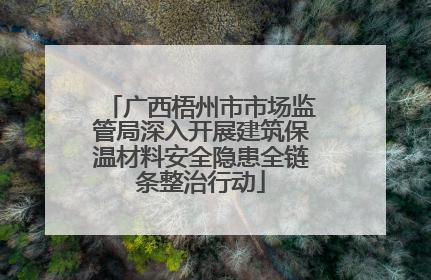 广西梧州市市场监管局深入开展建筑保温材料安全隐患全链条整治行动