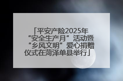 平安产险2025年“安全生产月”活动暨“乡风文明”爱心捐赠仪式在菏泽单县举行