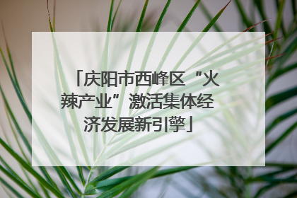 庆阳市西峰区“火辣产业”激活集体经济发展新引擎
