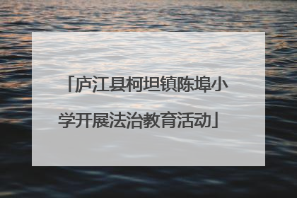 庐江县柯坦镇陈埠小学开展法治教育活动
