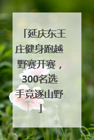 延庆东王庄健身跑越野赛开赛，300名选手竞逐山野