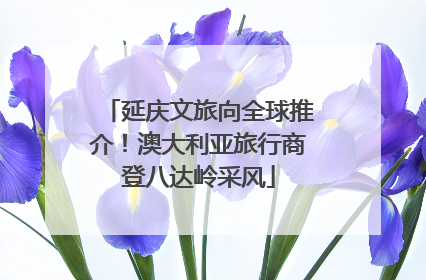 延庆文旅向全球推介！澳大利亚旅行商登八达岭采风