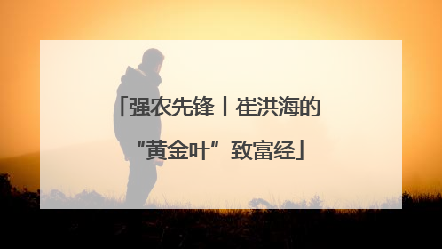 强农先锋丨崔洪海的“黄金叶”致富经