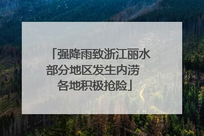 强降雨致浙江丽水部分地区发生内涝 各地积极抢险