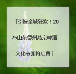 引爆全城狂欢！2025山东德州燕京啤酒文化节即将启幕
