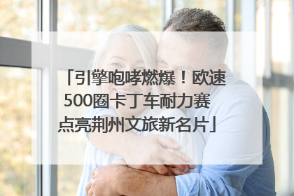 引擎咆哮燃爆！欧速500圈卡丁车耐力赛点亮荆州文旅新名片