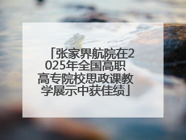 张家界航院在2025年全国高职高专院校思政课教学展示中获佳绩