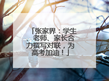 张家界：学生、老师、家长合力撰写对联，为高考加油！