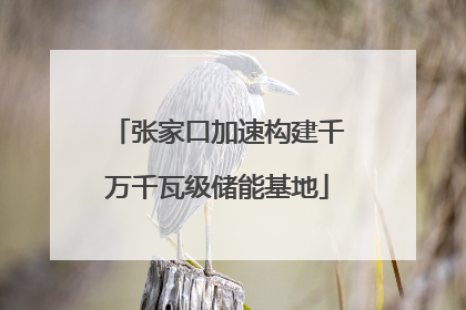 张家口加速构建千万千瓦级储能基地