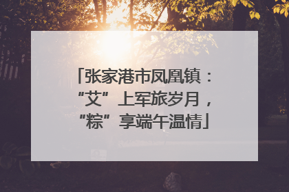 张家港市凤凰镇：“艾”上军旅岁月，“粽”享端午温情