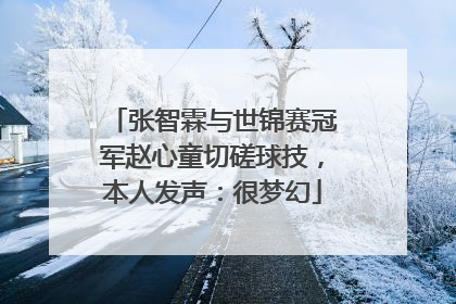 张智霖与世锦赛冠军赵心童切磋球技，本人发声：很梦幻