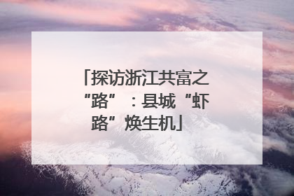 探访浙江共富之“路”：县城“虾路”焕生机
