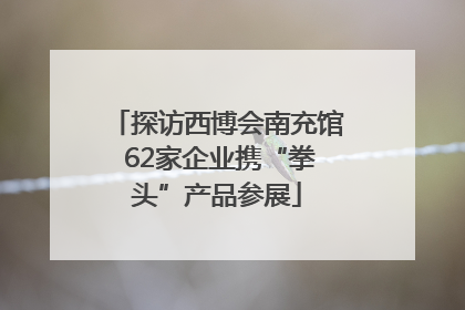 探访西博会南充馆 62家企业携“拳头”产品参展