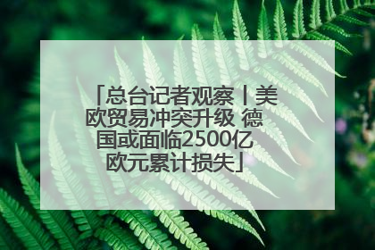 总台记者观察丨美欧贸易冲突升级 德国或面临2500亿欧元累计损失