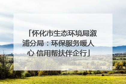 怀化市生态环境局溆浦分局：环保服务暖人心 信用帮扶伴企行