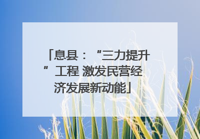 息县：“三力提升”工程 激发民营经济发展新动能