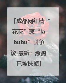 成都网红墙“花花”变“labubu”引争议 最新：涂鸦已被抹掉