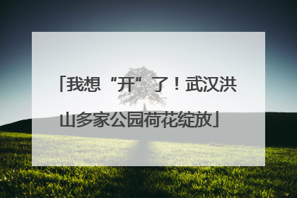 我想“开”了！武汉洪山多家公园荷花绽放