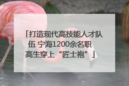 打造现代高技能人才队伍 宁海1200余名职高生穿上“匠士袍”