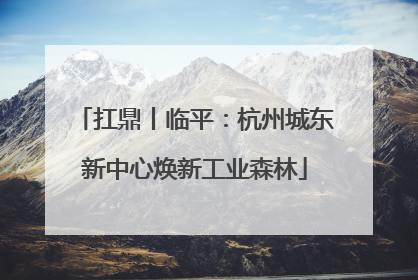 扛鼎丨临平：杭州城东新中心焕新工业森林