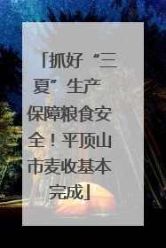 抓好“三夏”生产 保障粮食安全！平顶山市麦收基本完成