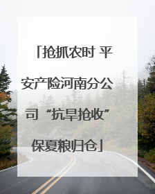 抢抓农时 平安产险河南分公司“抗旱抢收”保夏粮归仓
