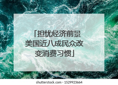 担忧经济前景 美国近八成民众改变消费习惯