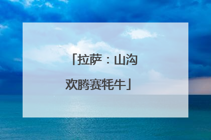 拉萨：山沟欢腾赛牦牛