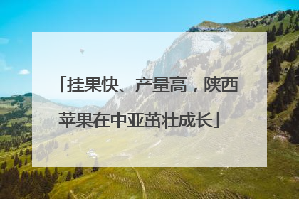挂果快、产量高，陕西苹果在中亚茁壮成长