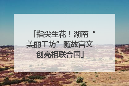 指尖生花！湖南“美丽工坊”随故宫文创亮相联合国