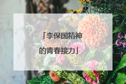 李保国精神的青春接力