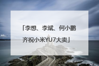 李想、李斌、何小鹏齐祝小米YU7大卖