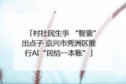村社民生事 “智囊”出点子 嘉兴市秀洲区推行AI“民情一本账”