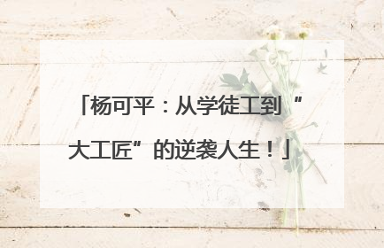 杨可平：从学徒工到“大工匠”的逆袭人生！