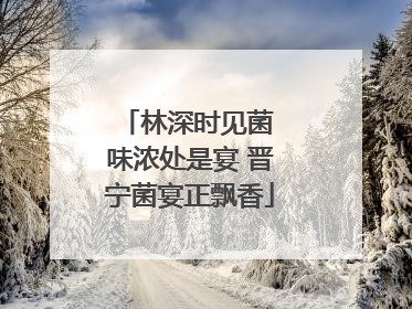 林深时见菌 味浓处是宴 晋宁菌宴正飘香