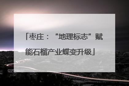 枣庄：“地理标志”赋能石榴产业蝶变升级